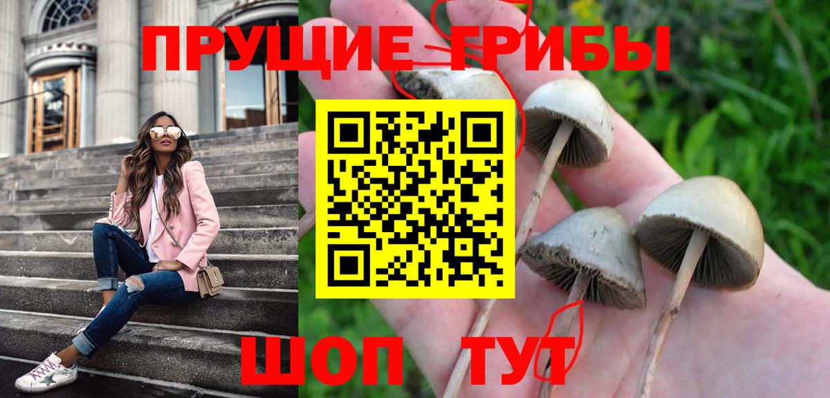 Псилоцибиновые грибы мухоморы  Вход с VPN  Миллерово 